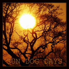Sun Dog Days (Album Version)