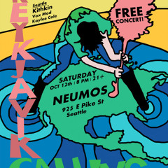 Reykjavik Calling - Seattle 2013