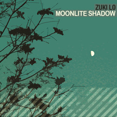 Moonlite Shadow (Acoustic Cover)