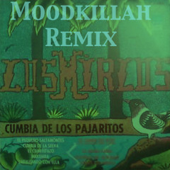 Los Mirlos – Cumbia de los Pajaritos(Moodkillah Remix)