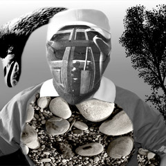 Acc & Dr Brin de Brain Intelligencia Zone (Finale Version )
