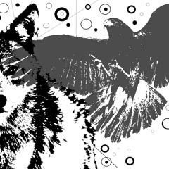 Wild Bunch - Hawk & Coyote