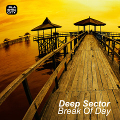 Deep Sector - Friday Night (Snip)