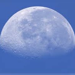 New Moon - Oolong Rooftop