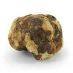 Truffle