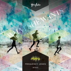 Go Chic - What She Wants (FJ RMX) Club Edit