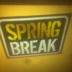 SpringBreak Vol. II