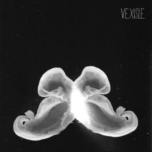 Vexisle - A preview of something new...