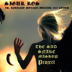 SIGUR ROS  VS.  ANTONIO MOLINA -  MUZAIK2007 COVER  ( THE SAD SNAKE MASHUP PROJECT )