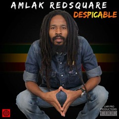 Amlak RedSq. - DESPICABLE - LMR PRODUCTONS/RedSqMuzik2013