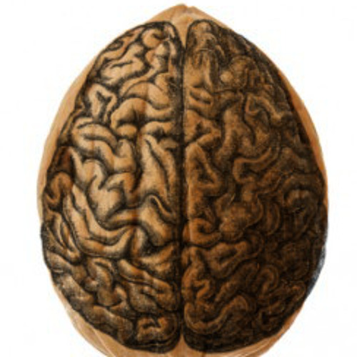 Nutshells In The Head