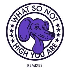 What So Not - High You Are (Motez Remix)