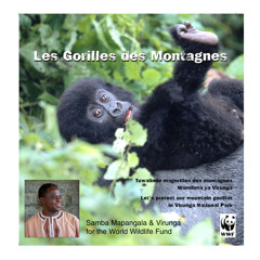 Les Gorilles des Montagnes by Samba Mapangala for World Wildlife Fund