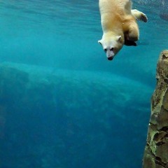 2manyStylez - Beats&Friends DJ SET 2013