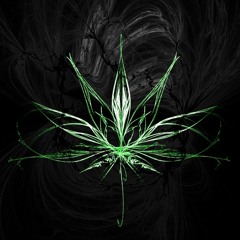 THC - Inner Life - I Like It Like That - DJ=Adam M & Cr@!gYJ (Bassline Warpa 2013)(sample)