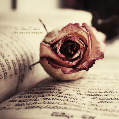 Titanic - My Heart Will Go On Violin Cover