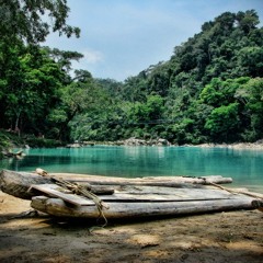 "Aguaclara" for woodwind quintet & cello by Efraín Amaya