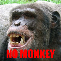 Screaming Chimp