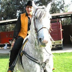 Valentin Elizalde - Mi Golondrina