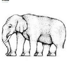 Vicious tongues at Grand Terrace, CA