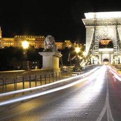 BUDAFUCKINGPEST
