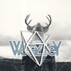 pacificUV - Summer Girls (Weazley remix)