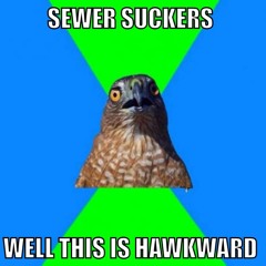 THE MOTHERSHIP |Sewer Suckers