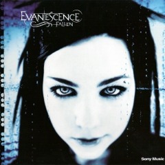 Evanescence - Wake Me Up Inside (e - Side Dubstep Remix)