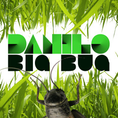 Danilo - Big Bug ( Original Mix )