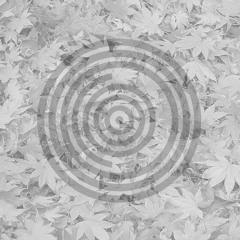 Fall Selections, 2013