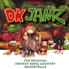 donkey kong country
