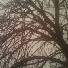 “Chill In The Air” - Amos Lee (Live)