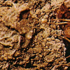 GRAIN -  SAY SO // B4U