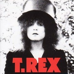 T.Rex - "20th Century Boy (Cato remix)"