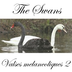 Valses Melancoliques II - "The Swans" - No. 3 played by Carlos Márquez www.beneking.com