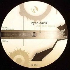 RYAN DAVIS Wide Open Space