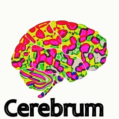 ATB vs. Martin Garrix vs. Pendulum - 9PM Project Island (Cerebrum Mashup)