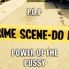 P.O.P(Power Of The Pussy) - Big Hek