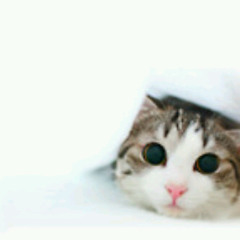 Serpihan Sesal - MAIA (Cover)