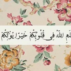 رباه يا من أناجى_السيد نقشبندى