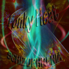 Fonky Heat - Schizophrenia (2013)