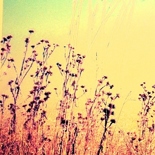 Traumlos - Between The Spheres (Simon Stiglmeier Remix) FREE DOWNLOADE