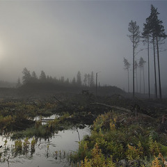 Open - Simonn (Rhye cover)