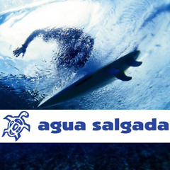 Agua Salgada (Sagres/Portugal) - Andy M | live rec.