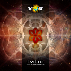 Tectum - Deep Dive into the Mind