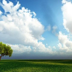 أن تدخلني ربي الجنه ..أبو راتب