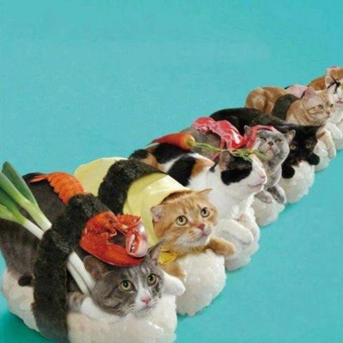 Stanley's Housewarming! (LETS GO!)