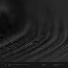 Sons of Sound Sense and Satisfaction - Variation D [Total Institution Version] (ROTE008)