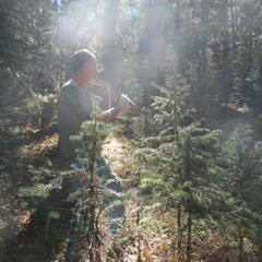 "Evening  Song"  F#m      Colorado Aspen Drone Flute