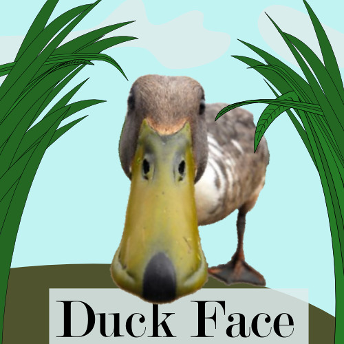 Stream Duck Face by Skylark V. Torch Listen online for free on SoundCloud